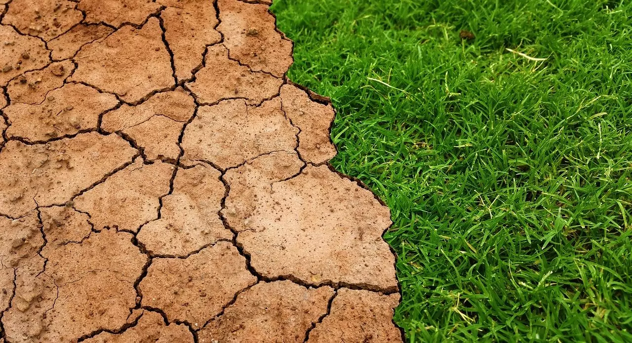 A stark contrast between dry, cracked earth on the left side and lush green grass on the right side of the image. The parched soil shows deep fissures and a brown, brittle texture indicating severe drought conditions, while the vibrant grass appears healthy and well-watered. This visual juxtaposition illustrates the dramatic difference between drought-affected and irrigated land.